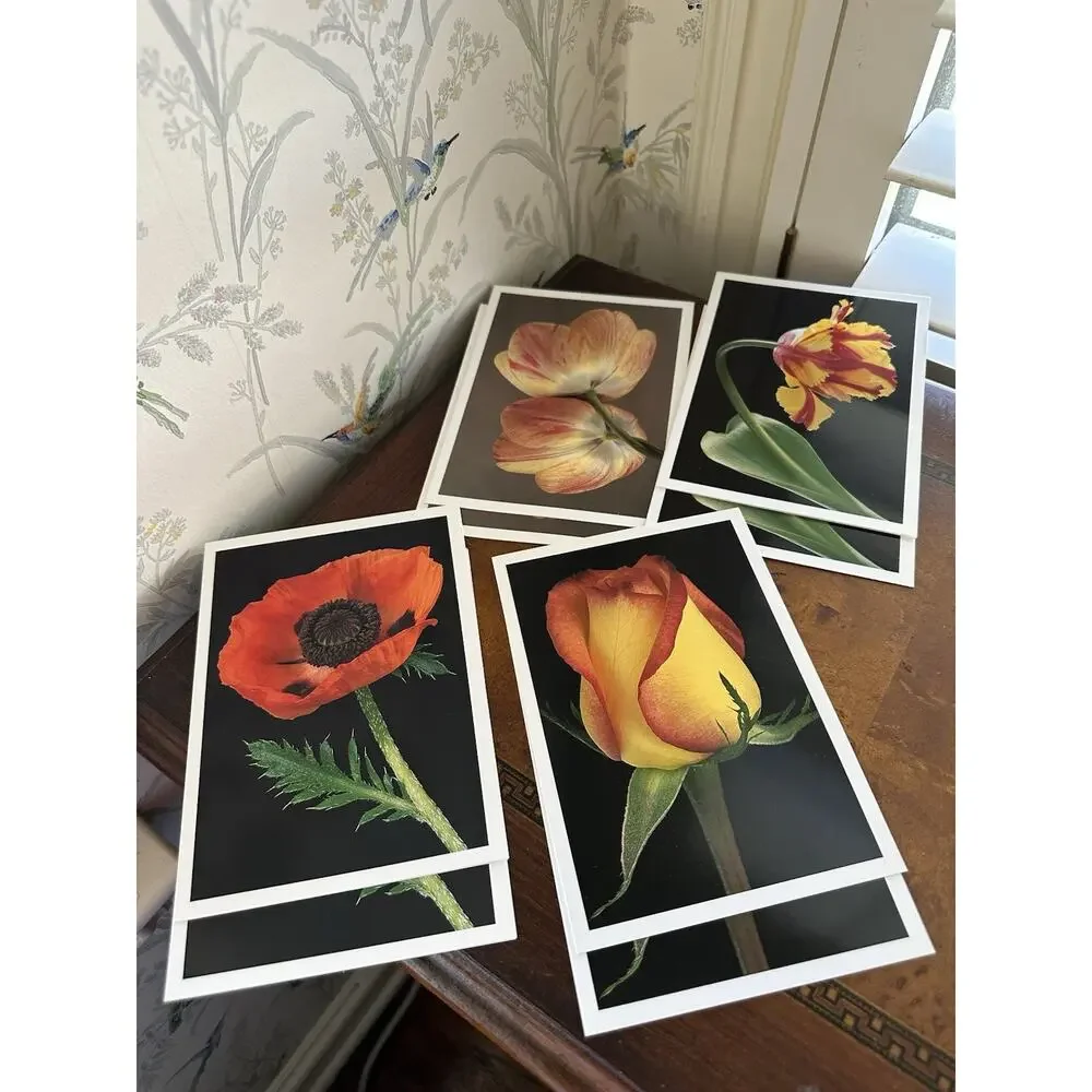 Lauritzen Gardens Note Cards Set Of 8 By Amy Lamb